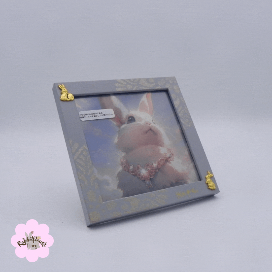 Frame Illust